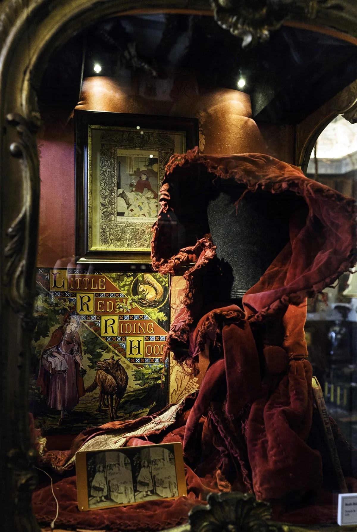 Cabinet of Curiosities and Impossibilities — DARIA: Denver Art